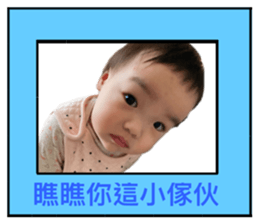 403066566
