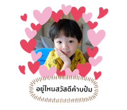 403136561