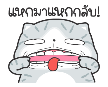 มันแกว ก็แมวมันก๊วนกวน รูปที่ 7