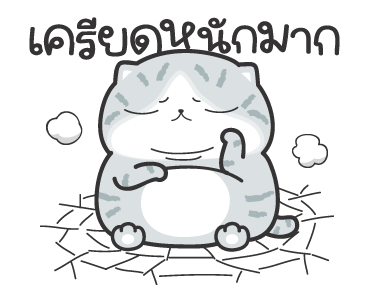 มันแกว ก็แมวมันก๊วนกวน รูปที่ 21