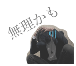 403211870