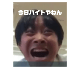 403218174