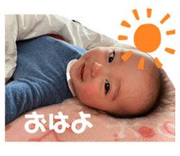 403242087