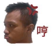 403298690