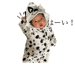 403299433