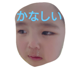 403301347