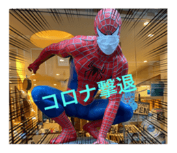 403302575