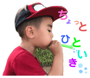 403309008
