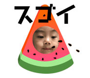 403309010