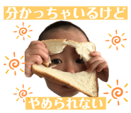 403309011