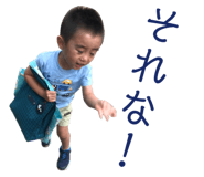 403309017