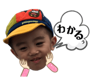 403309019