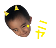 403309029