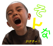 403309031