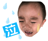 403309036