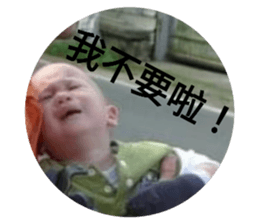 403343765
