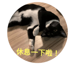 403354429