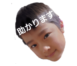 403391286