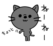 403412539