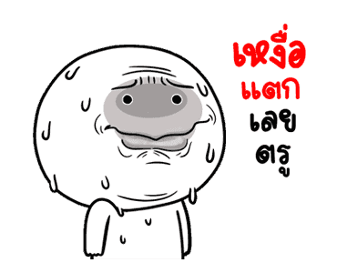 ลายที่ 21