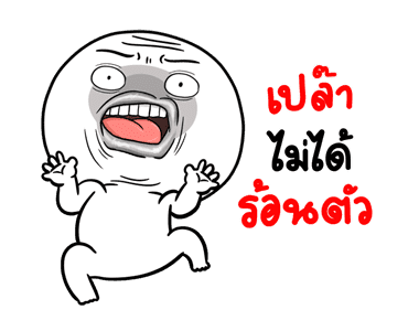 ลายที่ 43