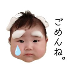 403531501