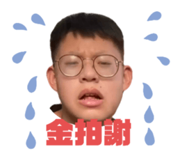 403547736