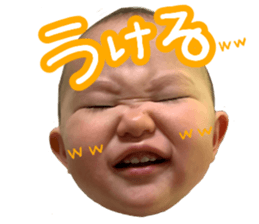 403551224