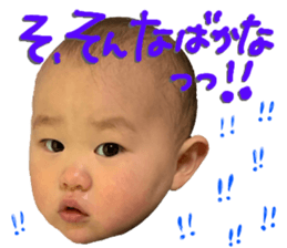 403551229