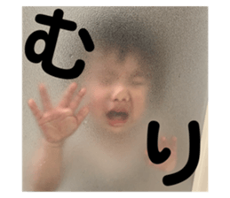 403574084