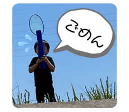 403603647