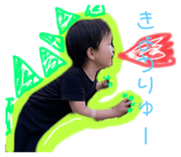 403603654