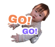 403603713