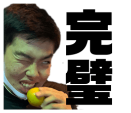 403605377