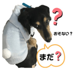 403606731