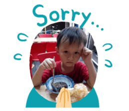403613956
