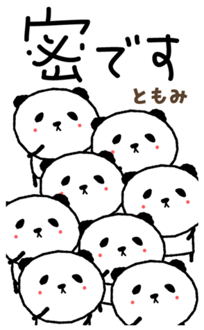 403643545