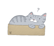 403651844