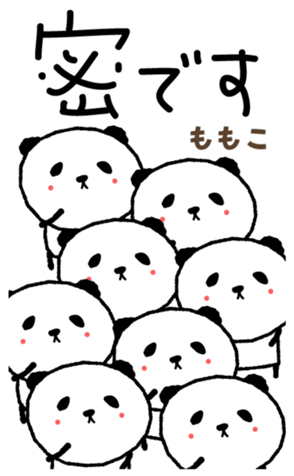 403795009