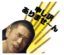 403799051