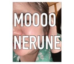 403802393