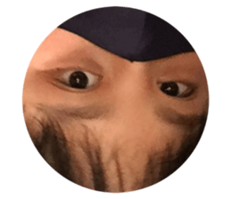 403827555