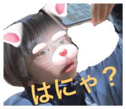 403868941