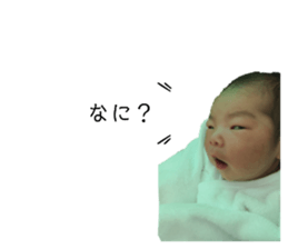 403975206
