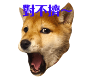 404009262