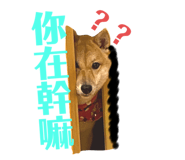 404009266