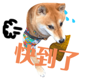 404009269
