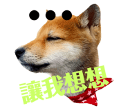 404009271