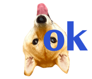 404009273