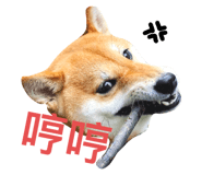 404009276